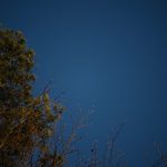 DSC05894.jpg