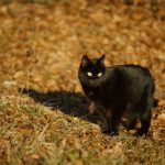 DSC05920.jpg