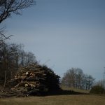 DSC05975.jpg