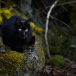 DSC05992.jpg