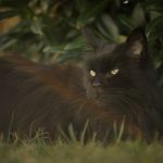 DSC06022.jpg
