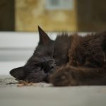 DSC06024.jpg